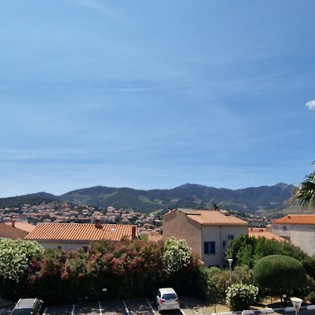 Banyuls-Sur-Mer: T2 Avec Terrasse Couverte Et Parking Privatif - Fr-1-309-146 エクステリア 写真